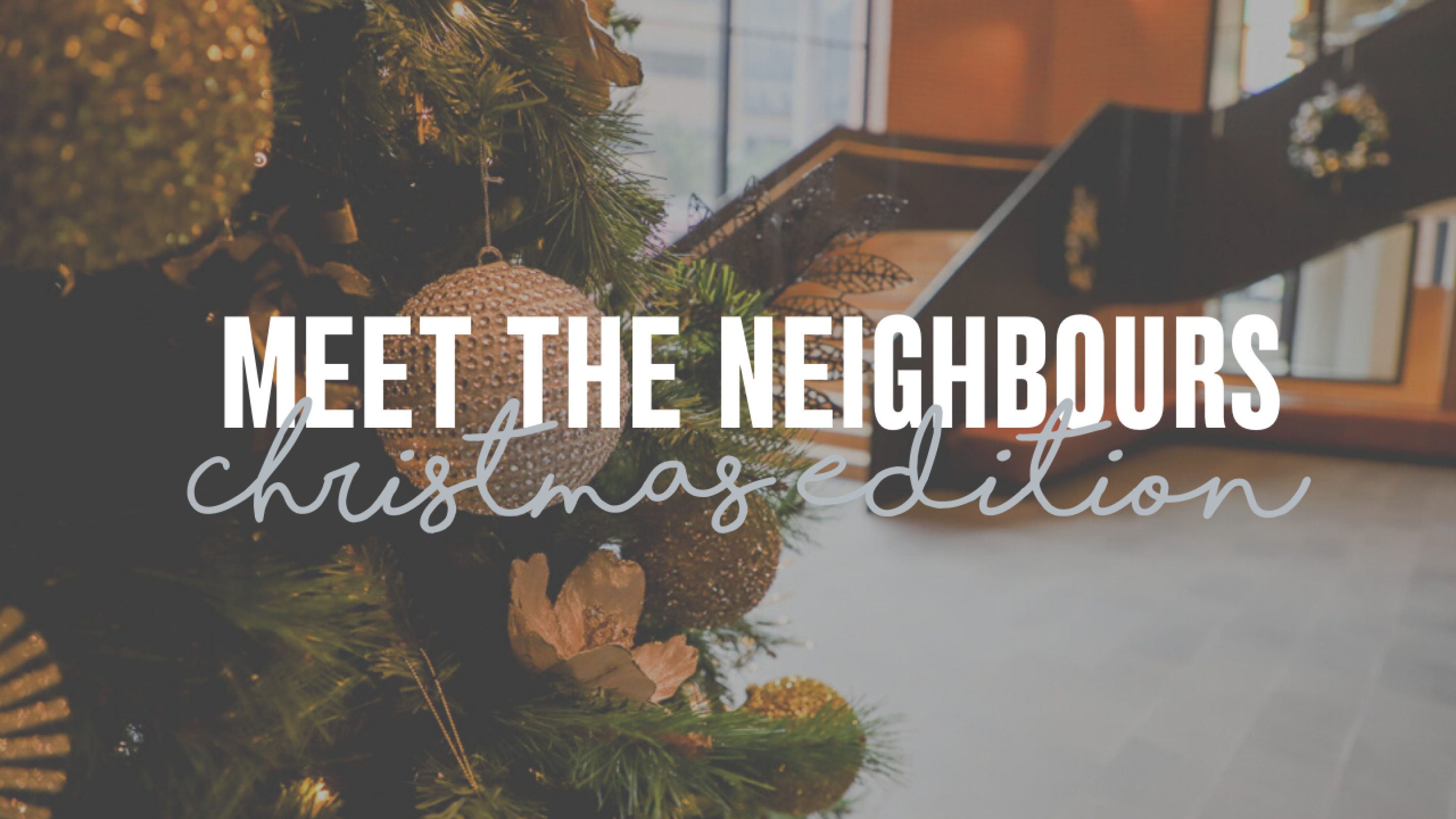 Meet the Neighbours Thumbnail